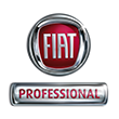 Fiat professionnel