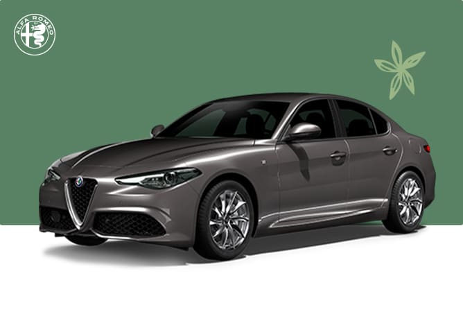 Alfa-Roméo-Giulia