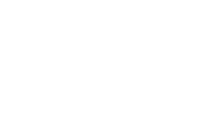 Fiat Pro