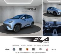 BYD Dolphin Surf Active